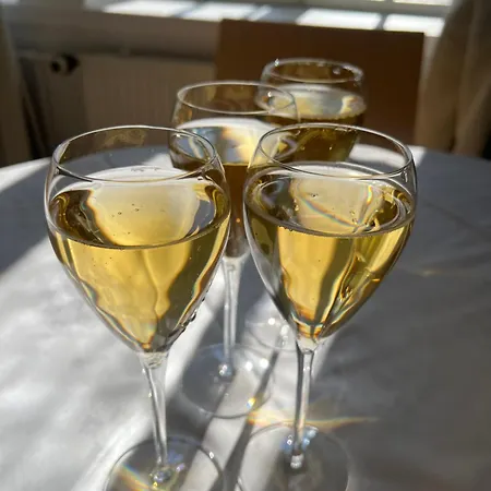 Hotel Kuopion Kesaeranta Kuopio