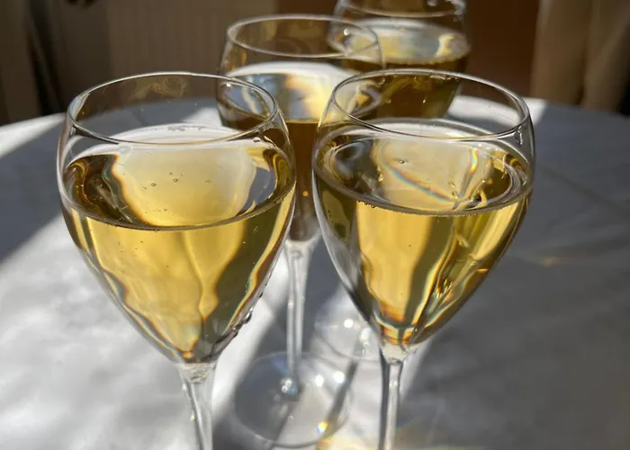 فندق Kuopion Kesaeranta كوبيو